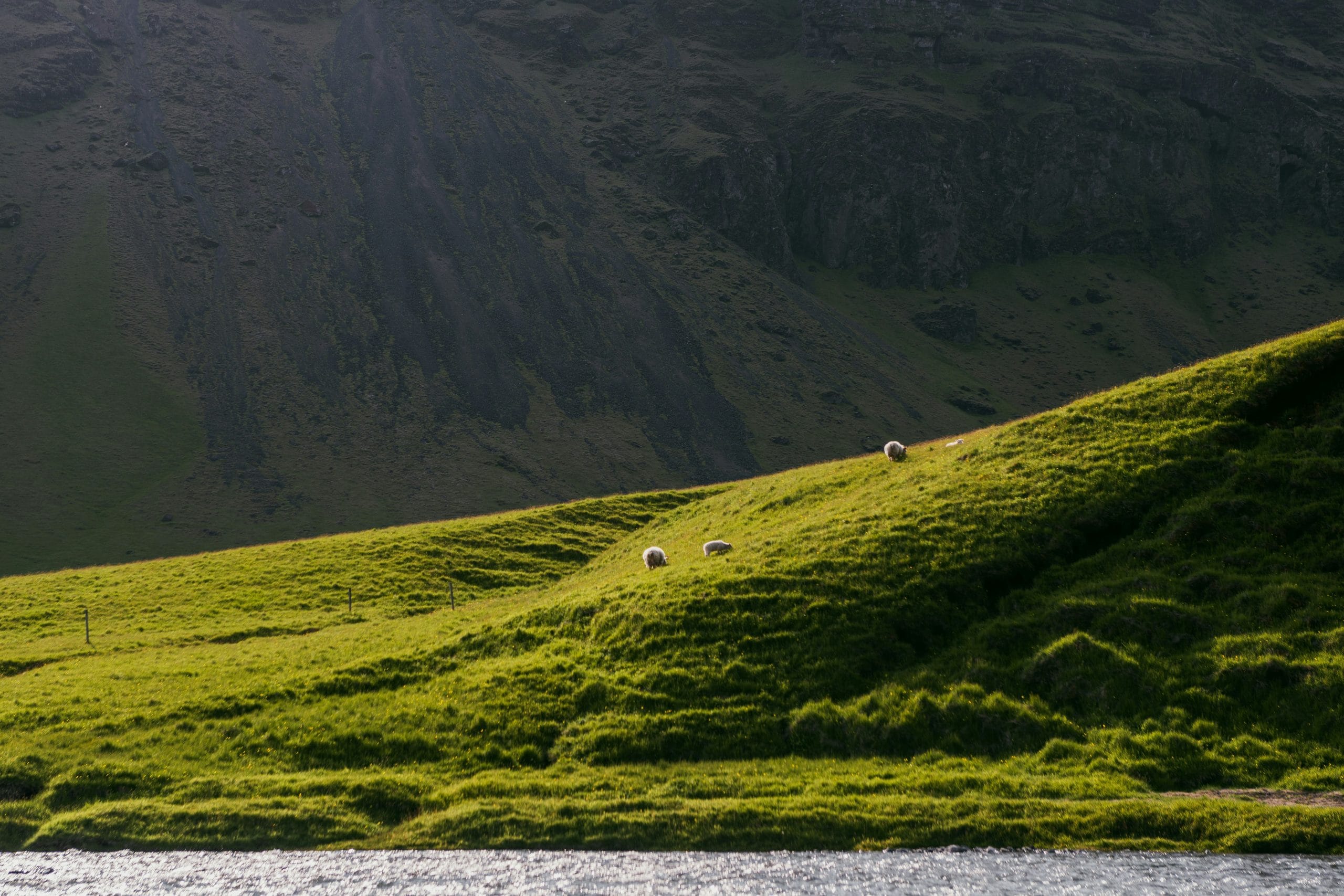 a tranquil scottish scene, with rolling green hills and a loch